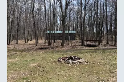 40+/- Acres 48th Street, Chase, MI 49623 - Photo 7