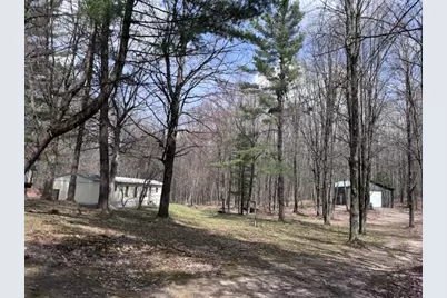 40+/- Acres 48th Street, Chase, MI 49623 - Photo 9
