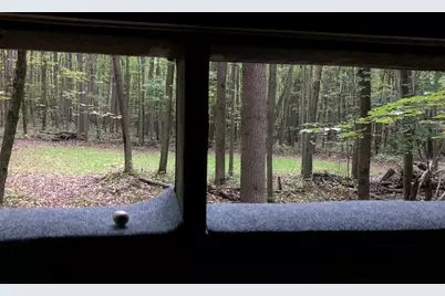 40+/- Acres 48th Street, Chase, MI 49623 - Photo 23