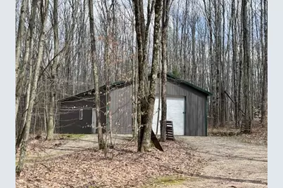 40+/- Acres 48th Street, Chase, MI 49623 - Photo 3