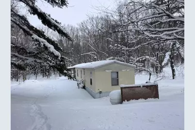 40+/- Acres 48th Street, Chase, MI 49623 - Photo 1