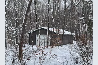 40+/- Acres 48th Street, Chase, MI 49623 - Photo 13