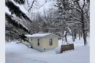 40+/- Acres 48th Street, Chase, MI 49623 - Photo 5