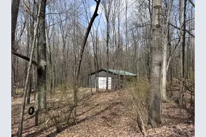 40+/- Acres 48th Street, Chase, MI 49623 - Photo 11