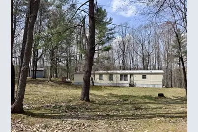40+/- Acres 48th Street, Chase, MI 49623 - Photo 5