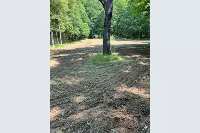 40+/- Acres 48th Street, Chase, MI 49623 - Photo 15