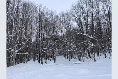 40+/- Acres 48th Street, Chase, MI 49623 - Photo 19