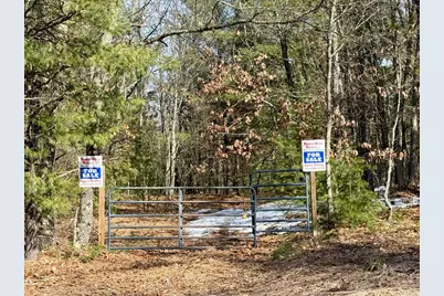 Vl N Merrillville Road, Baldwin, MI 49304 - Photo 1