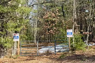 Vl N Merrillville Rd, Baldwin, MI 49304 - Photo 1