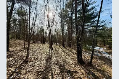 Vl N Merrillville Road, Baldwin, MI 49304 - Photo 9