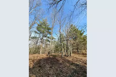 Vl N Merrillville Road, Baldwin, MI 49304 - Photo 7