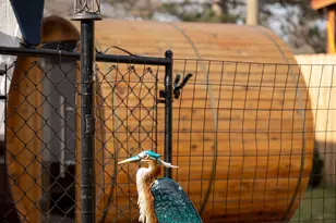 10800 N Wilvan Dr, Bitely, MI 49309 - Photo 57