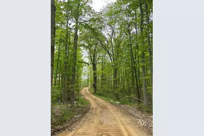 42733 Cr 390, Bloomingdale, MI 49026 - Photo 3