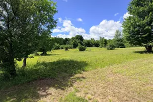 4395 N Raymond Rd, Luther, MI 49656 - Photo 29