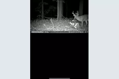 15415 Coalter Avenue, Kent City, MI 49330 - Photo 47