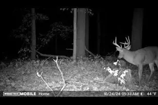 15415 Coalter Ave, Kent City, MI 49330 - Photo 47