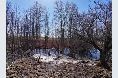 40 Acres 190th Avenue, Leroy, MI 49655 - Photo 9