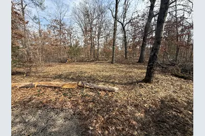 Vl Yale Avenue, Baldwin, MI 49304 - Photo 9