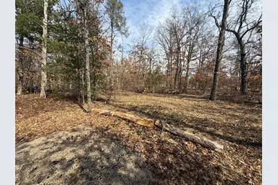 Vl Yale Avenue, Baldwin, MI 49304 - Photo 11