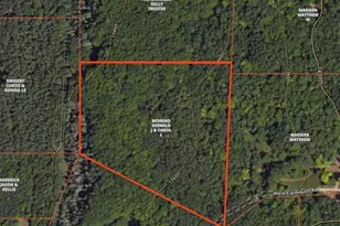 0 W Falmouth Rd, Cadillac, MI 49601 - Photo 5