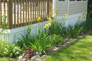 6473 Blue Star Hwy, Saugatuck, MI 49453 - Photo 15