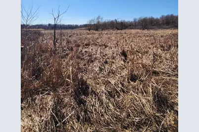 12 Mile Road, Ceresco, MI 49033 - Photo 3