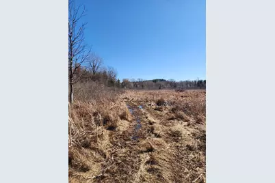 12 Mile Road, Ceresco, MI 49033 - Photo 5