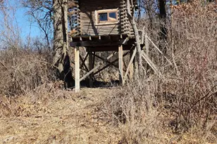 12 Mile Rd, Ceresco, MI 49033 - Photo 1