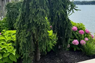 543 Macatawa Ave, Holland, MI 49423 - Photo 83