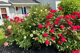 4151 Little Star Ct SW, Grandville, MI 49418 - Photo 7