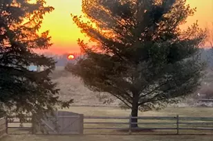 12800 S Wright Rd, Eagle, MI 48822 - Photo 55