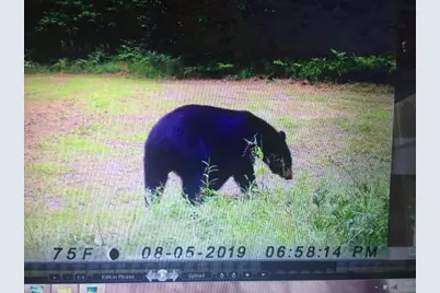 7050 N Poplar Road, Free Soil, MI 49411 - Photo 39