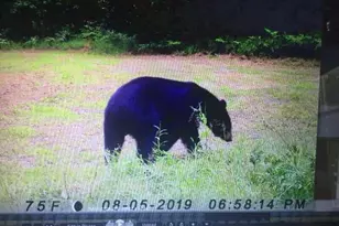 7050 N Poplar Rd, Free Soil, MI 49411 - Photo 39