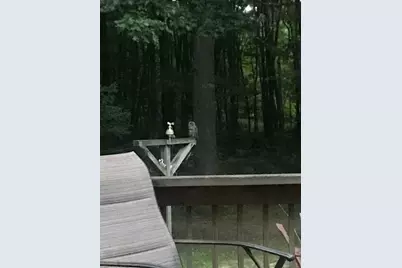 7050 N Poplar Road, Free Soil, MI 49411 - Photo 43