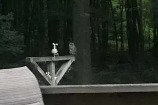 7050 N Poplar Rd, Free Soil, MI 49411 - Photo 43