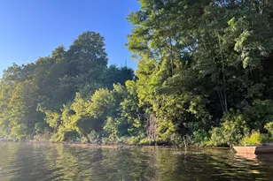 12039 Bair Lake St, Jones, MI 49061 - Photo 61