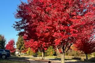 1342 Carston Ln, Chelsea, MI 48118 - Photo 31