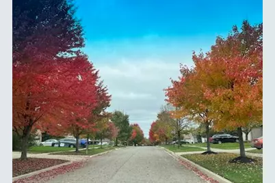 1342 Carston Lane, Chelsea, MI 48118 - Photo 33