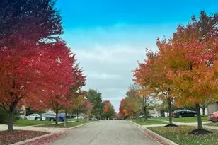 1342 Carston Ln, Chelsea, MI 48118 - Photo 33