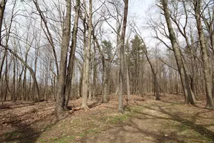 9009 E Main St, Galesburg, MI 49053 - Photo 7