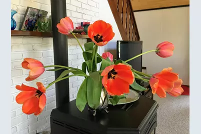 6111 W Longbridge Road, Pentwater, MI 49449 - Photo 13