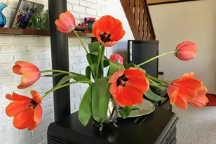 6111 W Longbridge Rd, Pentwater, MI 49449 - Photo 13