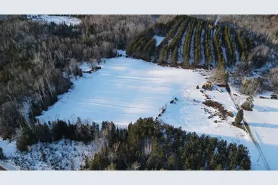 1180 W Miller Road, Mio, MI 48647 - Photo 7