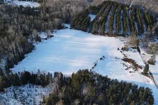 1180 W Miller Rd, Mio, MI 48647 - Photo 7