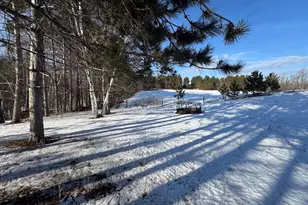 1180 W Miller Rd, Mio, MI 48647 - Photo 39