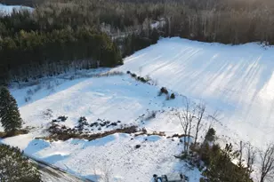 1180 W Miller Rd, Mio, MI 48647 - Photo 5