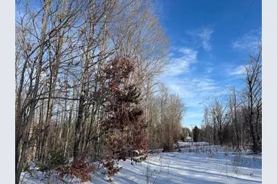 152 Acres W Miller Road, Mio, MI 48647 - Photo 21