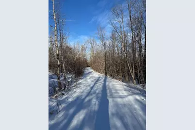 152 Acres W Miller Road, Mio, MI 48647 - Photo 59