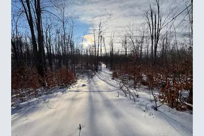 152 Acres W Miller Road, Mio, MI 48647 - Photo 123