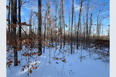 152 Acres W Miller Road, Mio, MI 48647 - Photo 111